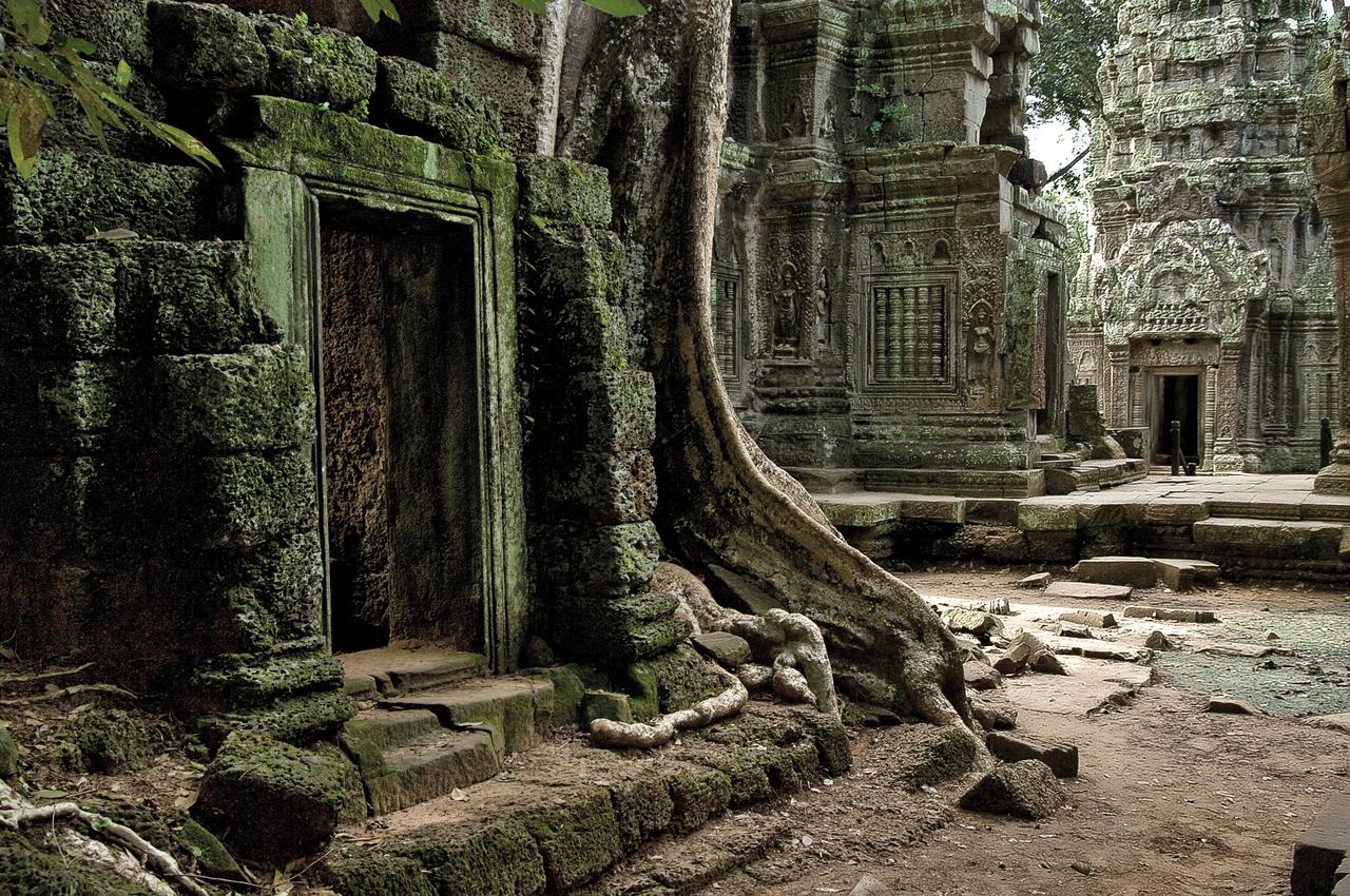 Cambodia Angkor Wat Ta Prohm Temple
