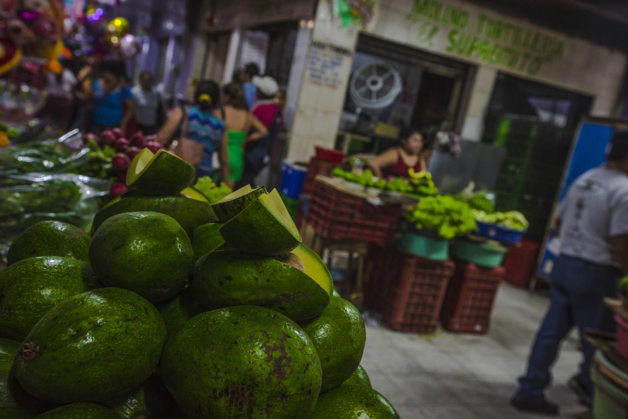 Mexico Merida Food Market Avocados